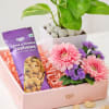 Buy Mother's Day Blossoming Paradise