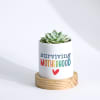 Gift Mother's Day - Echeveria Succulent With Planter