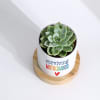 Buy Mother's Day - Echeveria Succulent With Planter
