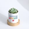 Mother's Day - Echeveria Succulent With Planter Online