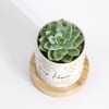 Shop Nature's Gem - Echeveria Succulent With Pot - Personalized