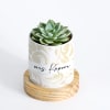 Nature's Gem - Echeveria Succulent With Pot - Personalized Online