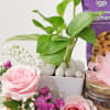 Buy Natures Delights Gift Hamper