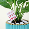 Buy Peace Lilly Love With Planter