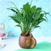 Gift Peace Lily Plant in Cat-Mug Shape Ceramic Planter