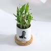 Shop Personalized Bamboo Plant With Planter