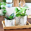 Personalized Ceramic Planter Set: Gift/Send Home and Living Gifts ...