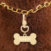 Buy Personalized Dog Bone Pet Charm