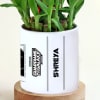 Buy Personalized Guardians of the Galaxy Planter With Bamboo Plant