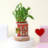 Personalized I Am Groot Planter With Bamboo Plant Online