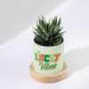 Buy Personalized Lucky Vibes - Haworthia Succulent With Planter For Mom