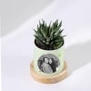 Shop Personalized Lucky Vibes - Haworthia Succulent With Planter For Mom