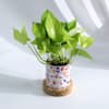 Buy Personalized You Are Mine Planter And Money Plant