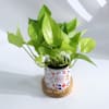 Shop Personalized You Are Mine Planter And Money Plant