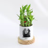 Gift Photographic Memories - 2-Layer Bamboo Plant With Pot - Personalized