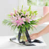 Buy Pink Lily Love