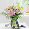 Pink Lily Love Online