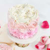 Buy Pink Ombre Mini Cake