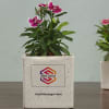 Gift Planter Set With Logo And Message Customisation