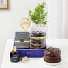 Buy Pleasant Jade Plant Birthday Hamper