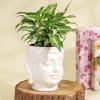 Gift Purifying Syngonium Plant in a Ceramic Buddha Planter