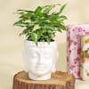 Purifying Syngonium Plant in a Ceramic Buddha Planter Online