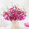 Gift Purple Orchid Elegance