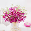 Buy Purple Orchid Elegance