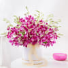 Purple Orchid Elegance Online