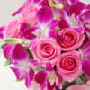 Shop Purple Orchids & Pink Roses In Round Vase