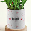 Gift Romantic Personalized Pot with Bamboo Plant