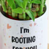 Buy Romantic Personalized Pot with Bamboo Plant