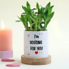 Romantic Personalized Pot with Bamboo Plant Online