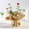 Gift Rose Plant in Jute Wrapping with Planter