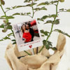 Gift Rose Plant With Jute Wrapped Pot And Personalized Polaroid