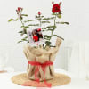 Rose Plant With Jute Wrapped Pot And Personalized Polaroid Online