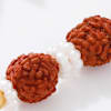 Rudraksha Rakhi