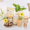 Serene Glow And Blossoms Hamper Online