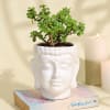 Serene Jade Plant in a Ceramic Buddha Planter Online