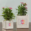 Set of 2 Ceramic Planters - Customized with Logo Online