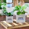 Set of 2 Ceramic Planters With Logo Online