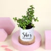 Gift She Is Unstoppable Jade Plant