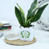 Buy Snake Plant With Self-Watering Planter