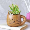 Succulent In Ceramic Kitty Planter Online