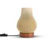 Sustainable & Eco-friendly 3D printed Blob Table lamp Online