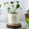 Buy You're Cute Personalized Ceramic Planter For Her - Without Plant