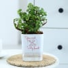 Gift You Won My Heart - Jade Plant With Self-Watering Planter