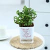 Buy You Won My Heart - Jade Plant With Self-Watering Planter