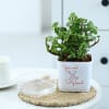 Shop You Won My Heart - Jade Plant With Self-Watering Planter