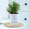 You Won My Heart - Jade Plant With Self-Watering Planter Online